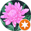 Merta profile picture