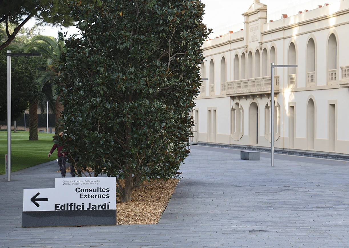 Imagen del carrousel